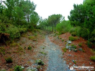 Axarquía- Sierras de Tejeda, Almijara y Alhama; rutas de trekking; rutas senderistas